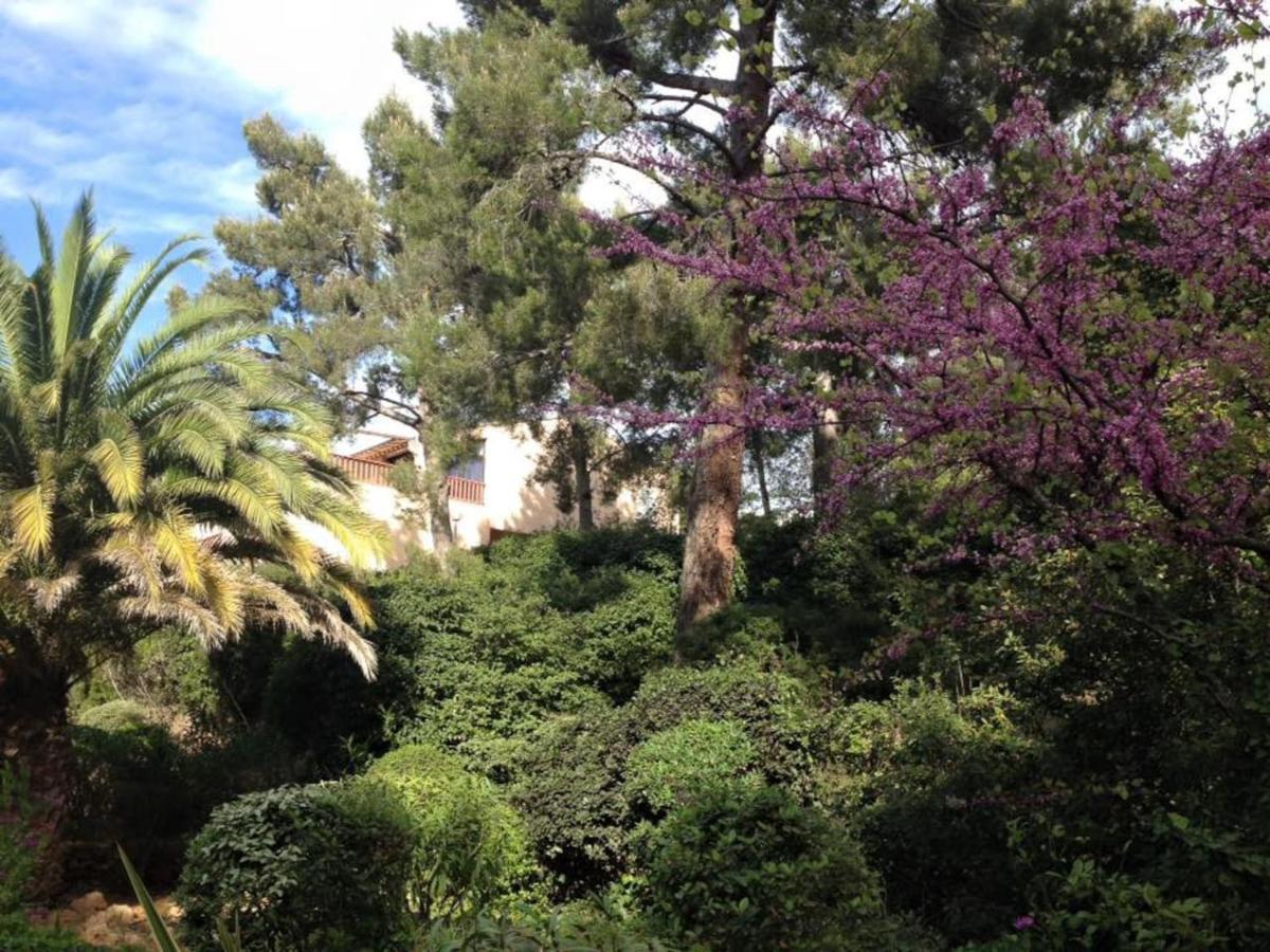 Studio 110 Grande Terrasse Proche Mer Bandol Exterior foto