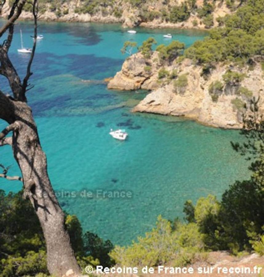 Studio 110 Grande Terrasse Proche Mer Bandol Exterior foto