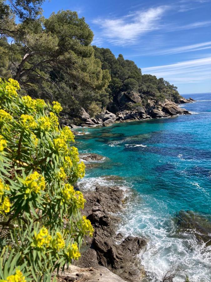Studio 110 Grande Terrasse Proche Mer Bandol Exterior foto